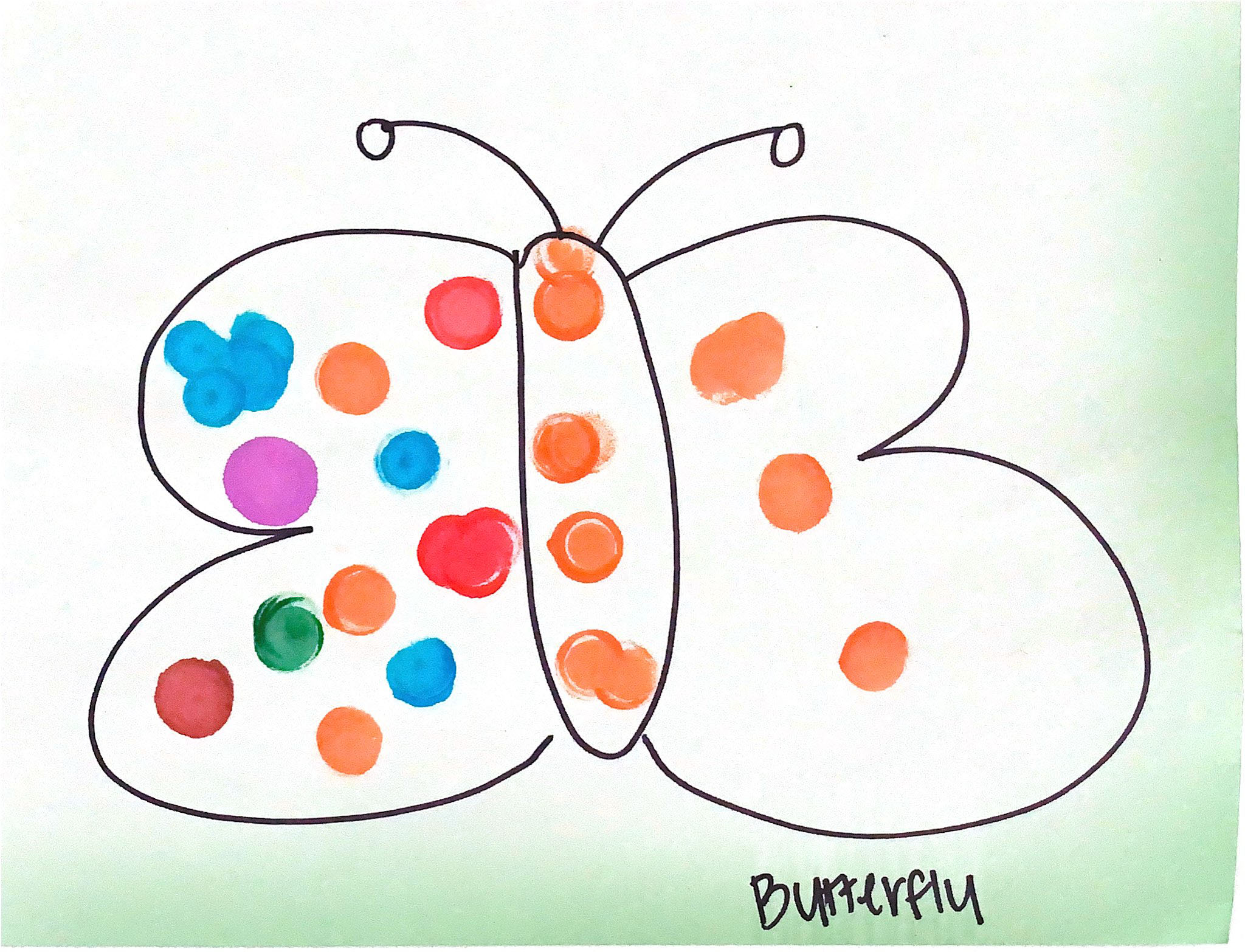 Butterfly