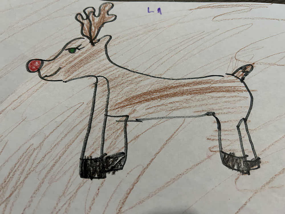 Reindeer